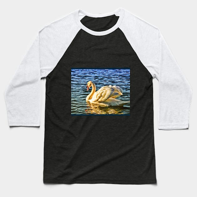 Swan wading on water in sunshine Baseball T-Shirt by Blue Butterfly Designs 